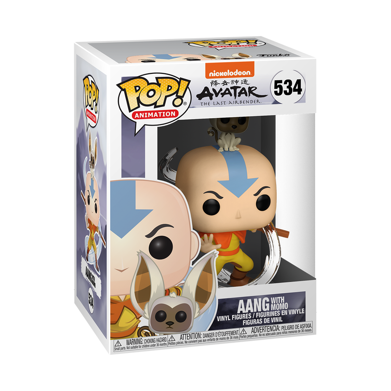 Aang with Momo