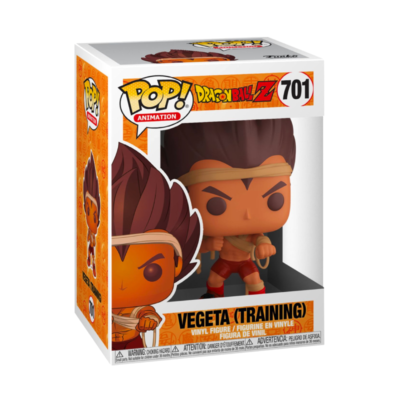 Vegeta (Training)